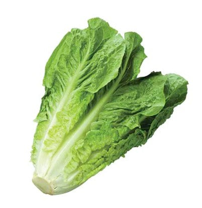 Lechuga Orejona Pieza